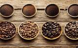 阿拉比卡和罗伯斯塔咖啡豆风味有何区别？罗布斯塔咖啡粉怎么喝