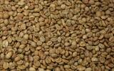 哥伦比亚薇拉产区圣奥古斯汀产区San Agustin咖啡起源发展介绍