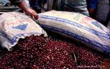 危地马拉安提瓜咖啡农协会APCA资料信息介绍 水洗卡杜拉咖啡风味