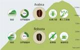 阿拉比卡咖啡多少钱一斤？咖啡原生树种阿拉比卡咖啡豆特点