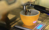 欧洲精品咖啡协会考证标准课程有哪些？中国有scae国际咖啡师证吗