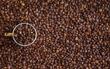 咖啡豆蜜处理过程与加工方式的演变 咖啡生豆金蜜处理是怎么回事