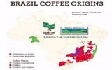 维基百科巴西介绍巴西产区介绍巴西咖啡特色巴西咖啡的特点
