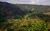 卢旺达最好的咖啡 卢旺达最大咖啡合作社-Nkara穆沙沙合作社