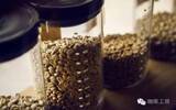 什么是低温水洗发酵法？冷冻处理咖啡生豆有什么优点？如何进行生