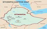 肯尼亚aa咖啡是世界上最好的高档美味的咖啡之一 Kenya AA的意思