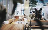 重庆小众咖啡店-L153Cafe 重庆非主流非传统的文艺咖啡空间