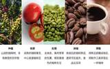 咖啡豆种类及特点 新手咖啡入门知识：咖啡豆分类制度介绍
