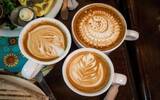从专业角度分析：如何冲煮出品质稳定的咖啡？