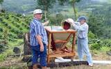 巴拿马艾丽达（ELIDA）庄园咖啡树种植条件 咖啡豆风味
