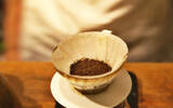 ：SCAA美国精品咖啡协会有那些认证项目？SCAA 美国精品咖啡协会