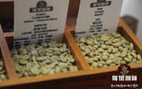 单品咖啡种类大全|你必须知道的著名咖啡产地|咖啡豆种类介绍