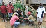 有机与荫栽种植——巴布亚新几内亚咖啡小农合作社的大志气