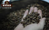 墨西哥咖啡--高海拔与肥沃的火山土壤使豆子温和细致，香气宜人