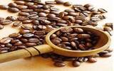 雨林咖啡-日晒曼特宁 有故事的曼特宁咖啡最便宜多少钱一杯？