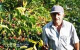 玻利维亚圣塔克鲁兹产区夫耶蝶庄园—来自世界屋脊的玻利维亚咖啡