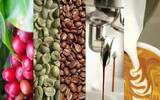 【2018年最新版】咖啡豆怎么做咖啡 咖啡豆最好的品牌推荐