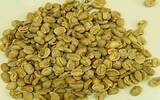 乌干达咖啡口感 乌干达AA-布吉森(Bugisu)阿拉比卡水洗咖啡豆
