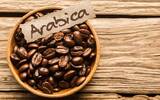 只要是阿拉比卡咖啡都好喝吗？为什么说阿拉比卡咖啡豆比较好喝?