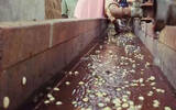 肯尼亚红樱桃哈理亚村Chania Estate农场特征咖啡豆风味口感介绍
