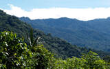 巴拿马最好的咖啡产自巴拿马波魁特Boquete著名又古老的咖啡产区