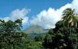 拥有多火山和风景如画的岛屿--马提尼克岛咖啡并将其传向周国