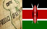 肯尼亚生豆批发肯尼亚AA批发价格肯尼亚等级划分精品咖啡生豆