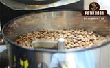 精品咖啡豆有哪些特征特点？精品咖啡品种与产区大全