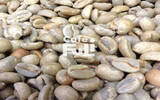 埃塞俄比亚孔加处理厂信息资料介绍 非洲之王日晒咖啡豆风味描述