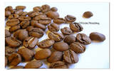 墨西哥咖啡恰帕斯产区│墨西哥直接关系咖啡紫水晶农园信息