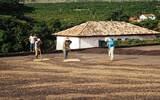 萨尔瓦多咖啡豆口感特点 萨尔瓦多咖啡五大产区及庄园故事介绍