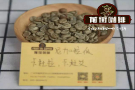 尼加拉瓜精品咖啡品种产区风味口感特点 尼加拉瓜咖啡生豆分级制度 Maragogipe象豆是什么