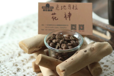危地马拉八大咖啡产区是哪些？危地马拉种植的咖啡品种是什么？安提瓜拉米妮塔花神咖啡口感味道如何