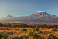 非洲咖啡三巨头之一的坦桑尼亚咖啡产自哪里 种植哪些咖啡品种？乞力马扎罗咖啡风味描述