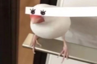 斋啡种类｜美式黑咖啡与手冲咖啡有何不同？美式手冲咖啡各有什么优点？手冲美式哪种好喝？