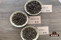 哥斯达黎加咖啡收获季是什么时候？精品咖啡米拉苏的风味特点