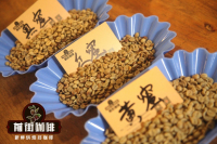 哥斯达黎加咖啡的浓郁果味从何而来？红蜜 黄蜜 黑蜜是什么？哥斯达黎加蜜处理咖啡具备哪些风味特点？