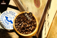 牙买加精品咖啡Blue Mountain推荐｜怎么鉴别真正的蓝山咖啡？正宗蓝山具备什么证明 咖啡风味如何