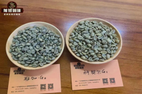 咖啡里的“青蛙豆”是什么？雨林联盟认证标章长啥样？牙买加克利夫顿庄园蓝山咖啡是“青蛙豆”吗