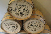 牙买加蓝山咖啡起源与种植发展状况｜蓝山咖啡与日本有何渊源？克里夫顿咖啡庄园蓝山一号的味道特点是什么