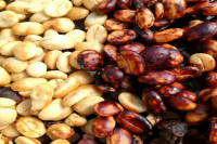 中南美洲哥斯达黎加咖啡介绍｜为何哥斯达黎加咖啡豆多用蜜处理法？蜜处理咖啡有哪些风味口感特点？