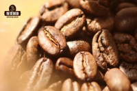 黄金曼特宁咖啡从何而来？黄金曼特宁烘焙度是多少？如何辨别PWN黄金曼特宁golden mandheling coffee