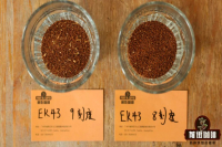 咖啡粉越细冷萃咖啡味道越寡淡？哥斯达黎加音乐家系列巴哈咖啡的冷萃咖啡比例多少合适？