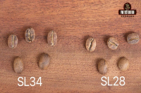 阿拉比卡arabica 咖啡的种类有哪些？如何一眼辨别咖啡的品种？咖啡豆种类名称及外观差异