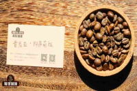 SL28指的是什么？为何肯尼亚SL28受欢迎？肯尼亚SL28有哪些风味特点