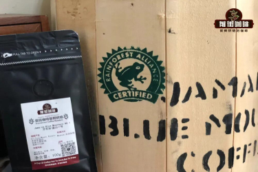 纯正的牙买加蓝山为什么这么贵？蓝山咖啡档次高 品质优吗？水洗蓝山喝起来味道口感如何