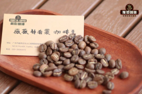 危地马拉薇薇特南果咖啡产区介绍｜危地马拉为何多是水洗咖啡？危地马拉咖啡生豆分级标准是什么？