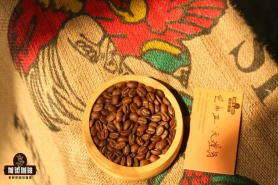 巴布亚新几内亚种植哪些咖啡品种 有哪些咖啡庄园？天堂鸟咖啡怎么冲煮才能喝出咖啡风味？