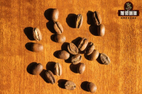 「瑰夏味」是什么？艺伎咖啡豆由来及瑰夏咖啡原产地在哪？哪些因素影响瑰夏/艺技咖啡风味表现