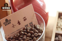 西达摩花魁相关介绍｜埃塞咖啡与肯尼亚咖啡的“酸”有何不同？